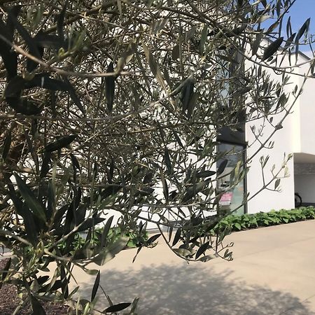B&B Vita Roka met extra Luxe Privé Wellness Ursel Exterior foto