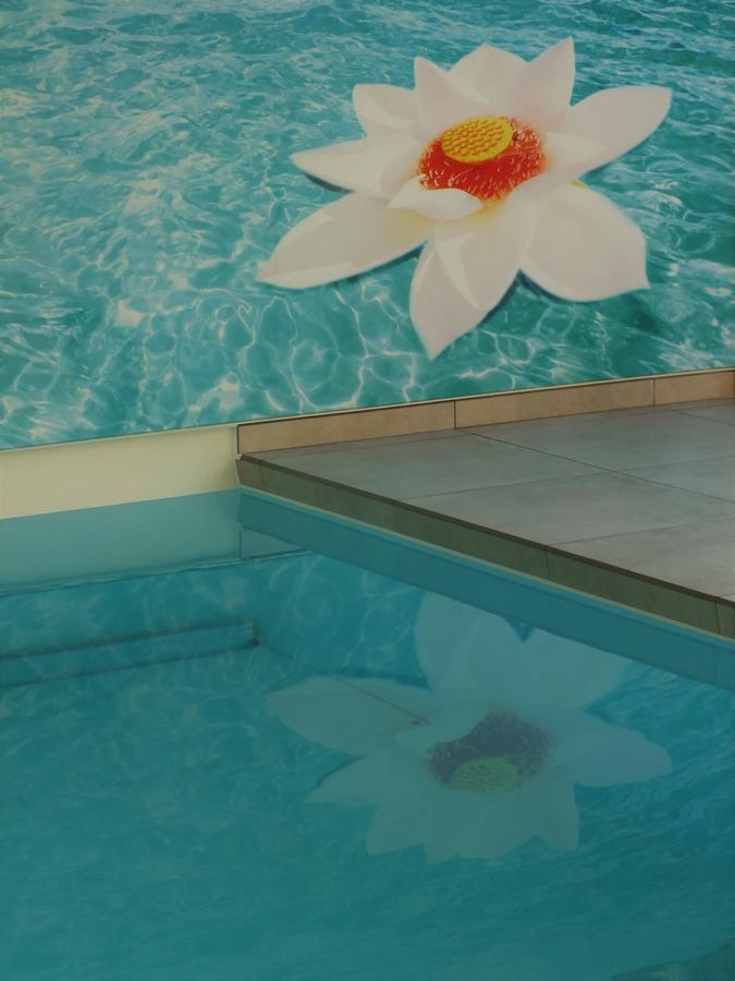 B&B Vita Roka met extra Luxe Privé Wellness Ursel Exterior foto